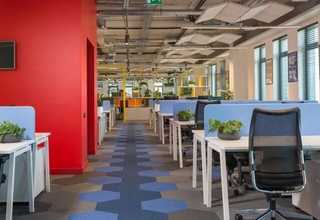 福建如何zoom价格走势