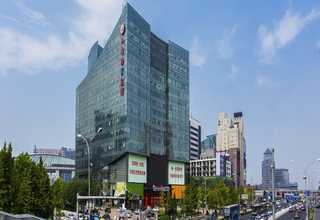 乌鲁木齐泰国椰子价格