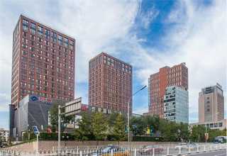 兰州少数牛肉面调料