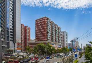 湖北茅台修醉批发